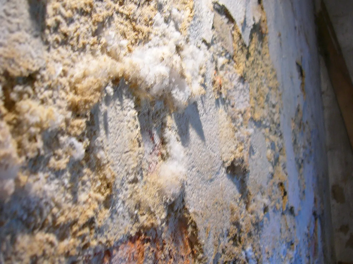 White efflorescence salts crusted on a damp masonry wall surface